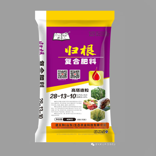  歸根28-13-10
